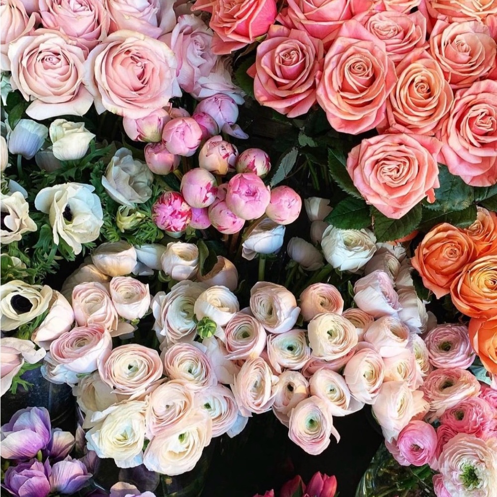 Meet your Posher, Samantha